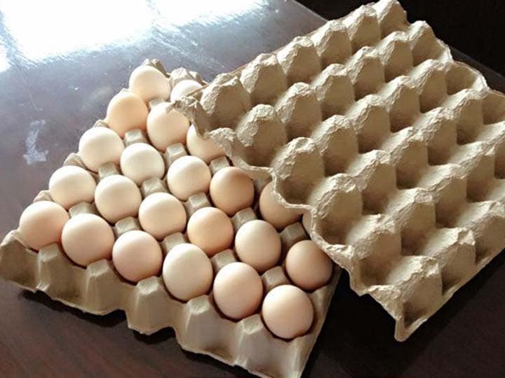 egg tray 