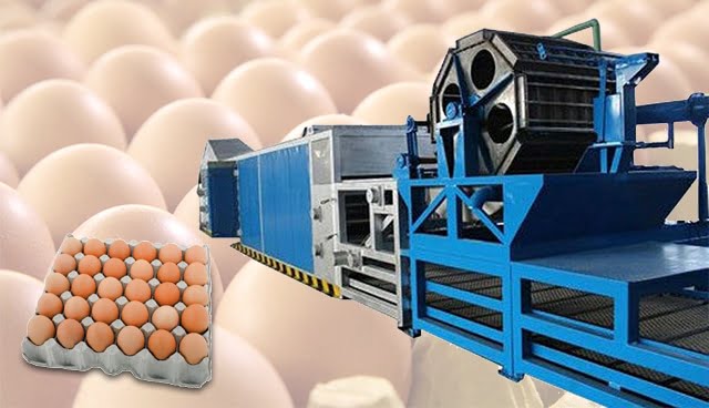 Egg tray production line | paper pulp egg tray processing plant